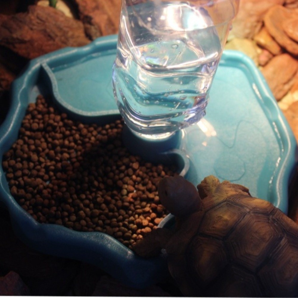 New Removable Reptile Feeder E - Water Dish Reptile recension och pris