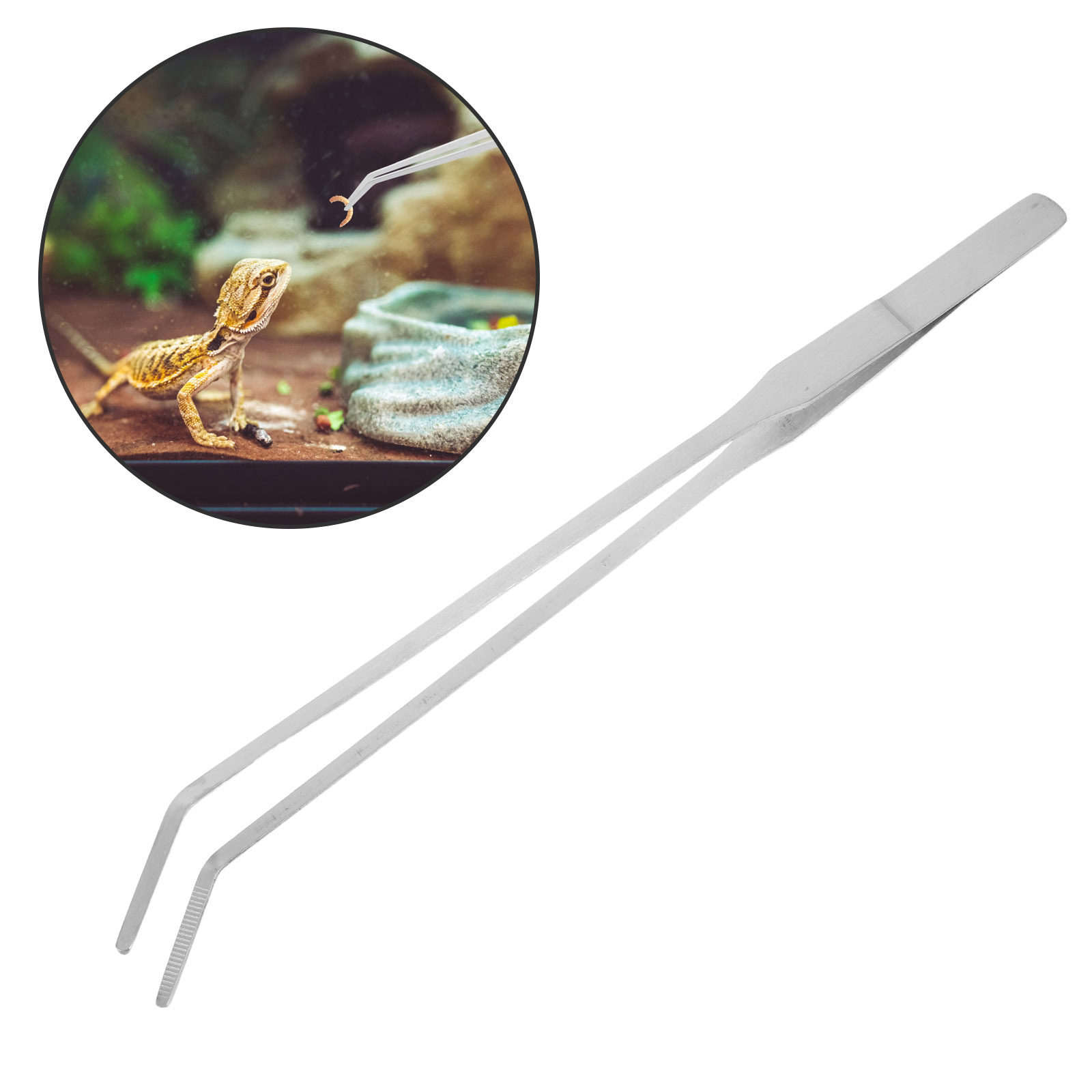 6Pcs Reptile Feeding Tong Stai - Feeding Tong Stainless recension och pris