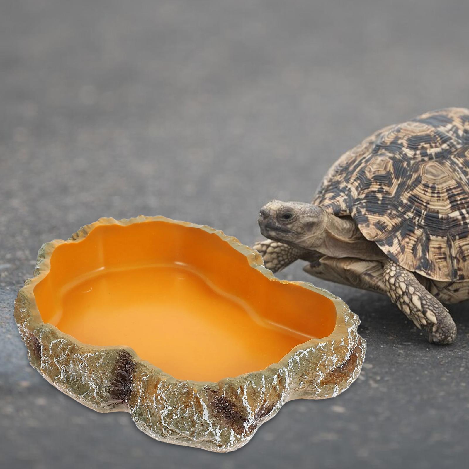 Reptile Tank Accessories Resin - Water Dish Reptile recension och pris