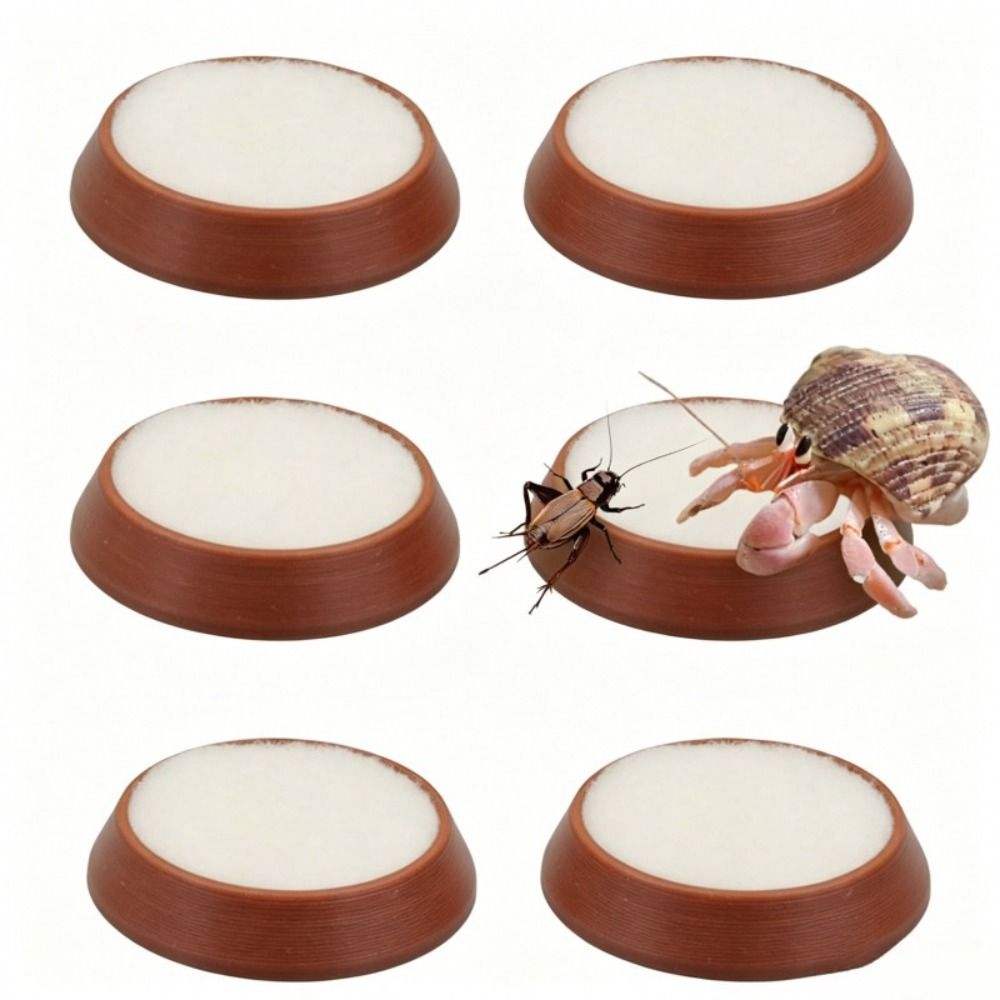 6pcs Portable Reusable Reptile - Water Dish Reptile recension och pris