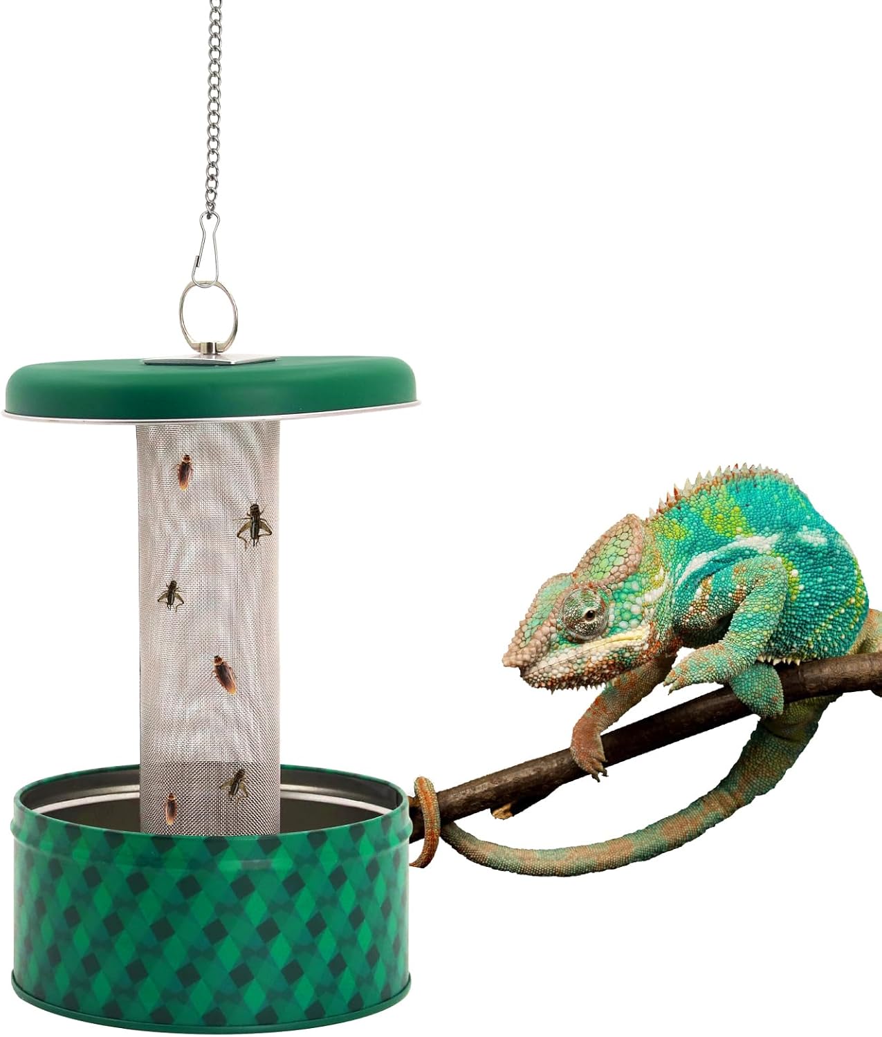 Bearded Dragon Feeder Chameleo - Water Dish Reptile recension och pris